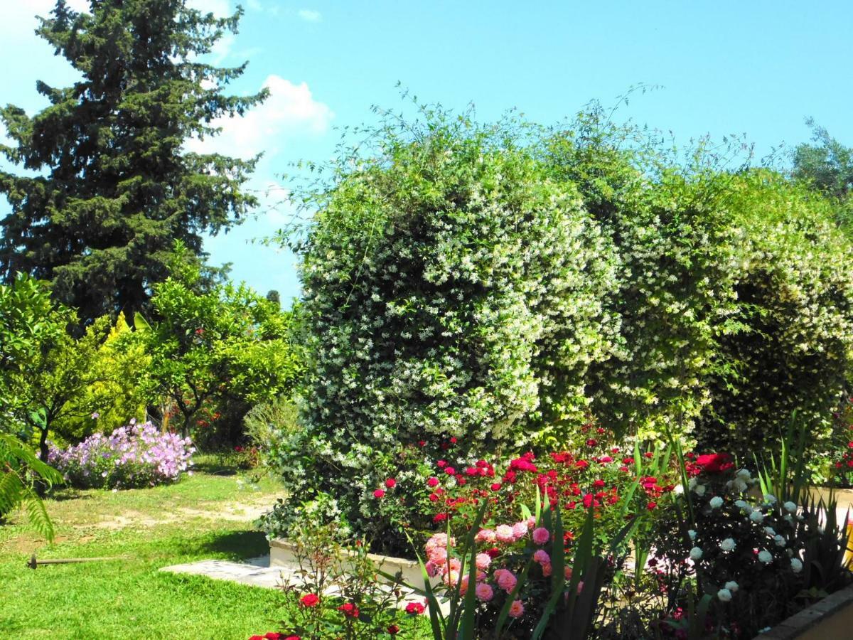Olga'S Hill Villa Perama  Luaran gambar